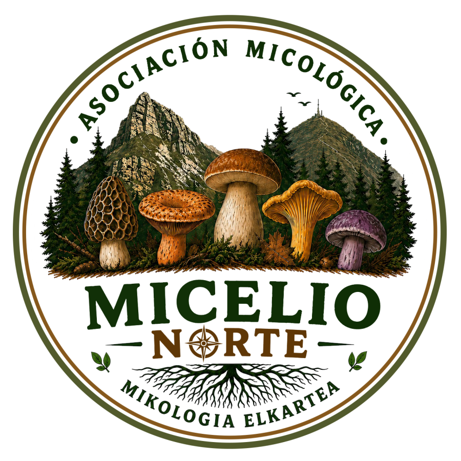 MICELIO NORTE - emblema - exerior transparente (1)