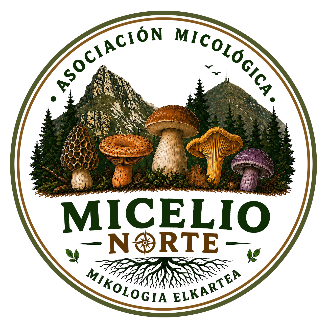 MICELIO NORTE - emblema - exerior transparente (1)